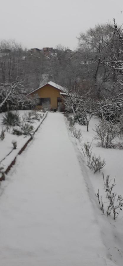 Pensiunea Lucia Ana Cluj-Napoca Buitenkant foto